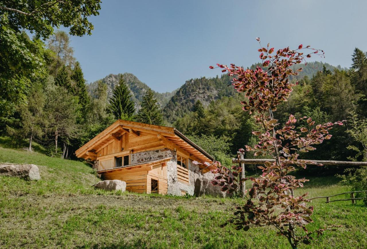 Вілла Odomi Maso Nel Bosco Sant'Orsola Екстер'єр фото